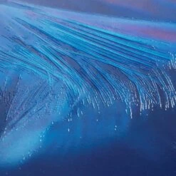 Wenko Siège WC Softness -Wenko 1000271260 210608 11270500921 DETAILS P000000001000271260