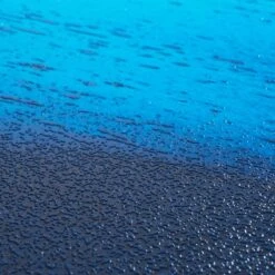 Wenko Siège WC Deep Sea 13 Wenko Siège WC Deep Sea -Wenko 1000271307 210608 11333401249 DETAILS P000000001000271307