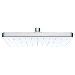 Wenko Pommeau De Douche Cleaning II